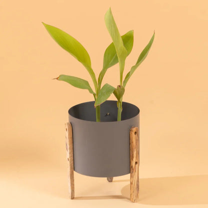 Modern Round Metal Pot with Wooden Stand in Grey