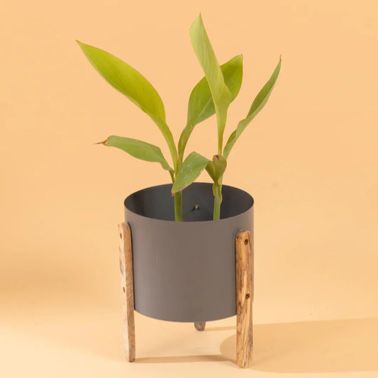 Modern Round Metal Pot with Wooden Stand in Grey