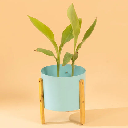 Modern Round Metal Pot with Wooden Stand in Grey
